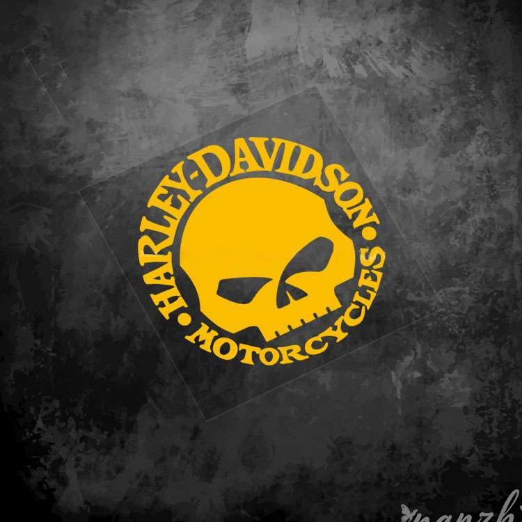 Adesivi Teschio Protettivi per - Motorcycle Gear Sale recensione e prezzo